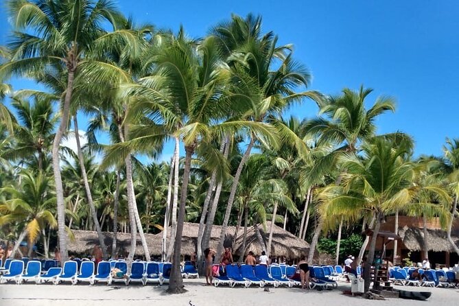 Saona Island: White Sands & Turquoise Waters” - Cancellation and booking details