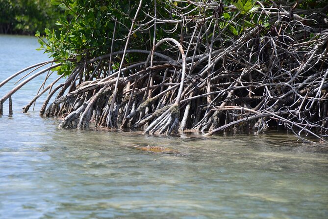 Saona, Mano Juan, Canto de la playa away from the tourist crowds - Why this Saona day feels different