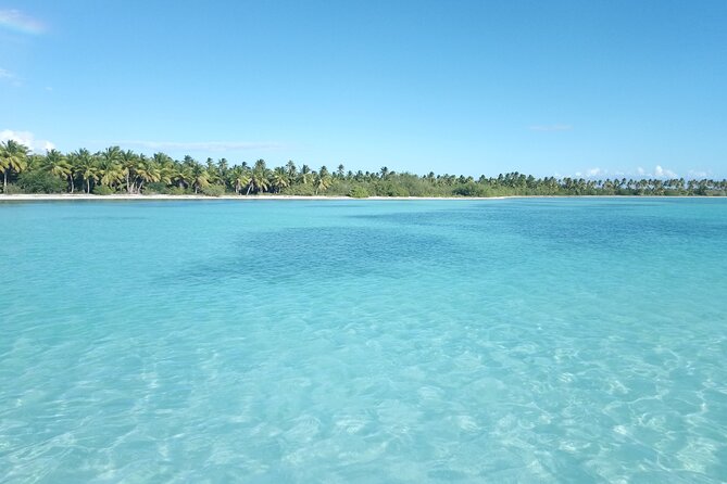 Saona, Mano Juan, Canto de la playa away from the tourist crowds - The natural pool and giant starfish