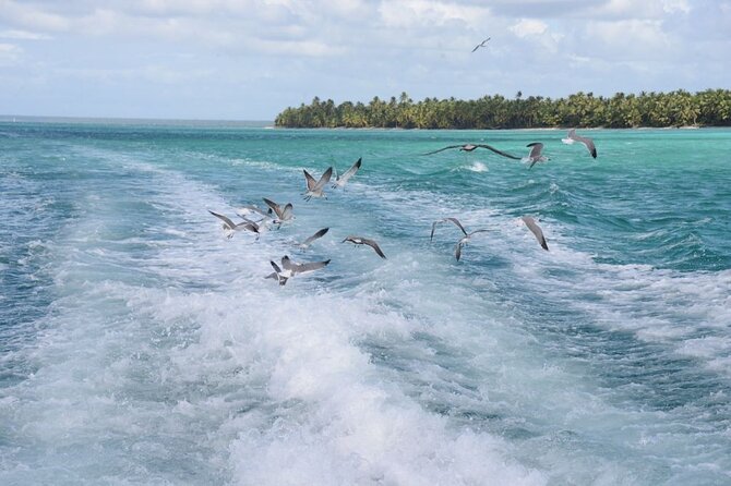 Saona, Mano Juan, Canto de la playa away from the tourist crowds - Group size, comfort, and the daily rhythm