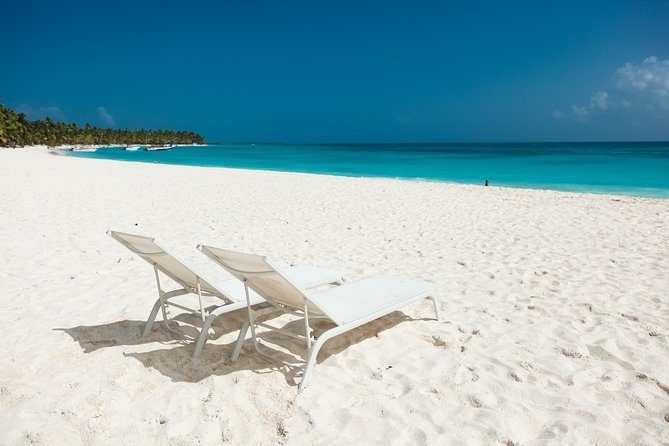 Saona Private Full-Day Tour from Punta Cana - What makes this Saona day worthwhile