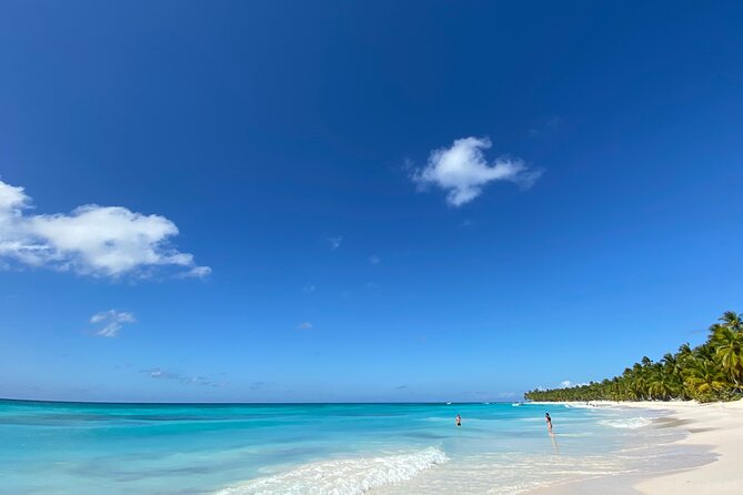 Saona Private Full-Day Tour from Punta Cana - The blue lagoon and natural pool stop
