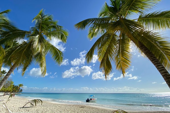 Saona Private Full-Day Tour from Punta Cana - Who should book this private Saona tour