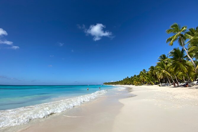 Saona Private Full-Day Tour from Punta Cana - Timing, cancellation, and small practical details