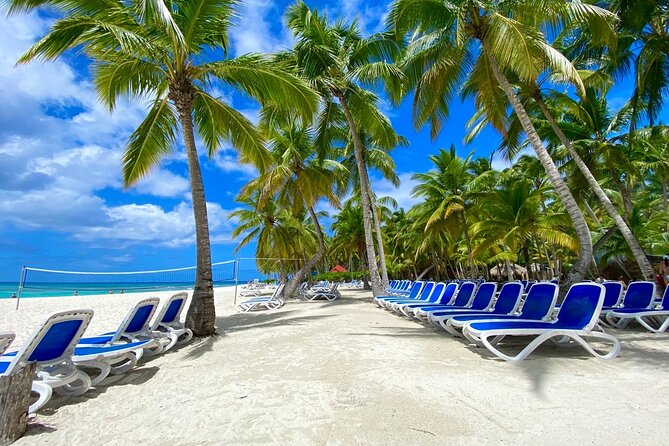 Saona Private Tour with Own Guide and Transport from Punta Cana - Lunch, drinks, and optional lobster
