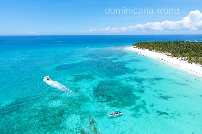 Saona Private Tour with Own Guide and Transport from Punta Cana - Is $460 per person a fair price?