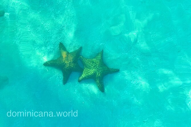 Saona Private Tour with Own Guide and Transport from Punta Cana - Who will enjoy this private Saona trip?