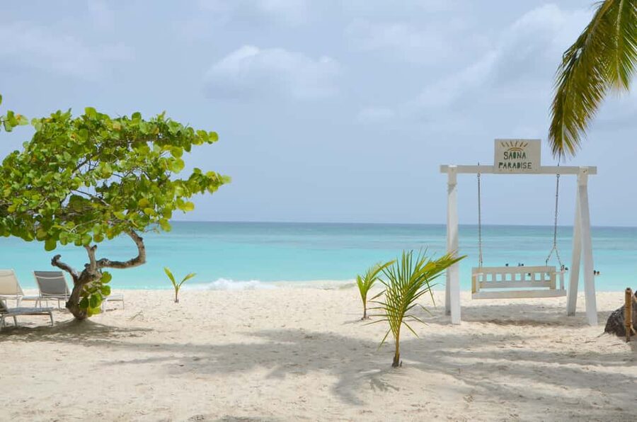 Saona Special Tour: 4 Beaches with Canto from Punta Cana - What makes this Saona trip different