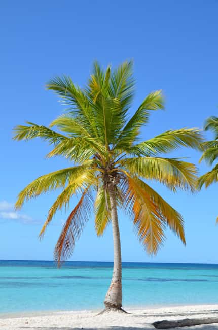 Saona Special Tour: Four Beaches & Canto Experience - Canto de la Playa after the crowds thin