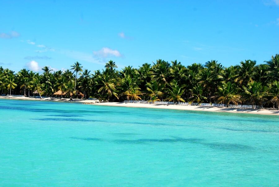 Saona Special Tour: Four Beaches & Canto Experience - Who will enjoy this Saona day most