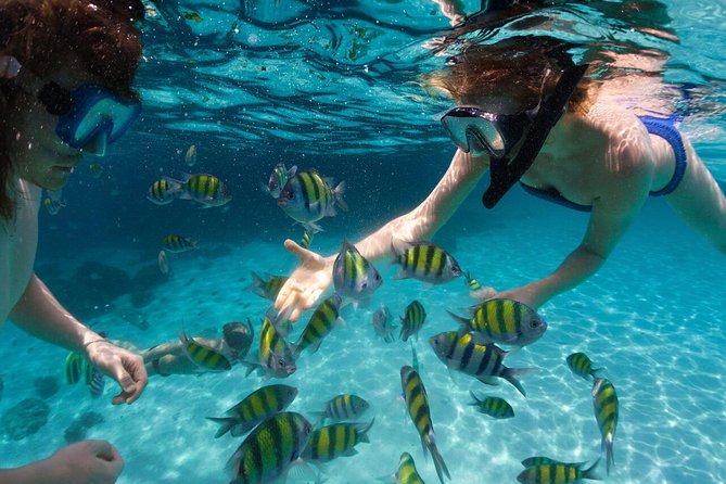 Scape Park Sunshine Cruise at Cap Cana - The Reef Stop: Warm Water, Mixed Expectations