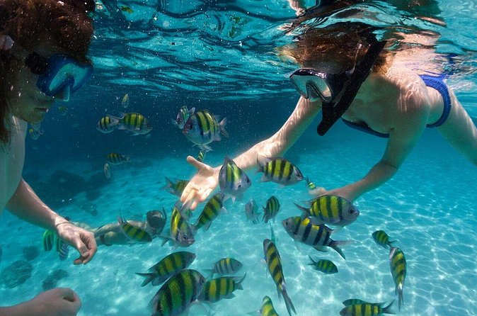 Scape Park Sunshine Cruise at Cap Cana - The Cap Cana Coastline Before the Swim