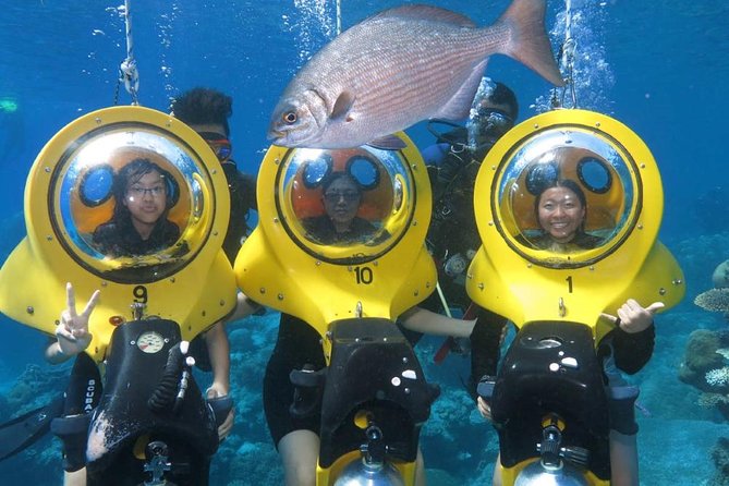 Scuba Doo Diving Experience in Punta Cana - Key points to know before you book