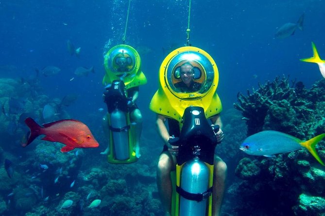 Scuba Doo Diving Experience in Punta Cana - From your hotel to Cabeza de Toro