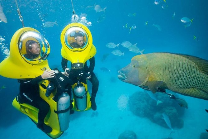 Scuba Doo Diving Experience in Punta Cana - The Panoramic One glass-bottom boat