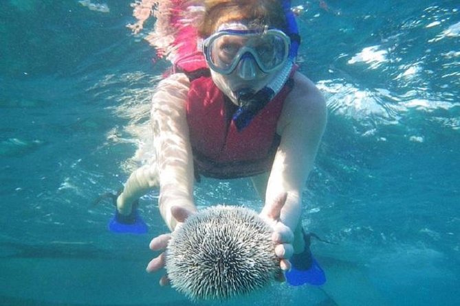 Scuba Doo Underwater Scooter in Punta Cana (Half Day) - What the Scuba Doo actually feels like