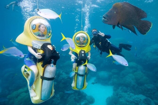 Scuba Doo Underwater Scooter in Punta Cana (Half Day) - Is $75 a fair price?