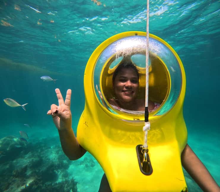 Scubadoo Punta Cana Diving Adventure - Marine life and the value of the reef setting