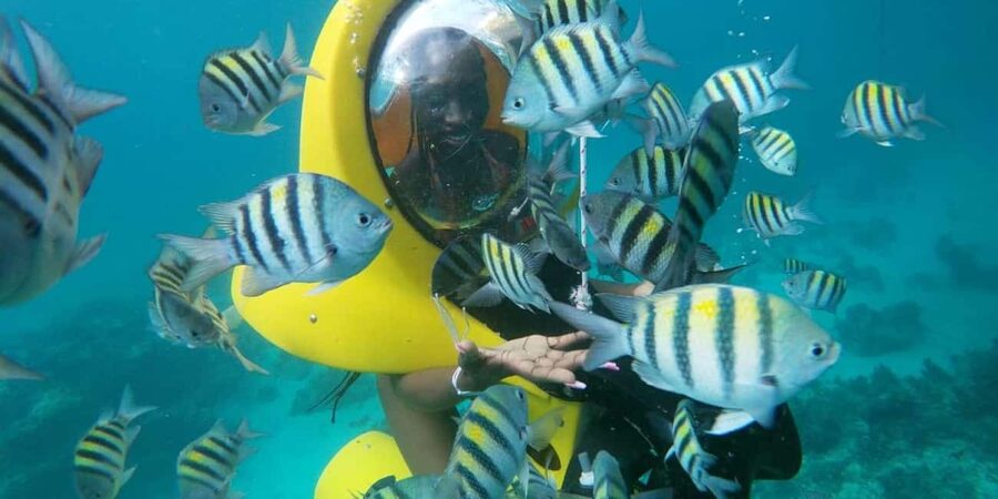 Scubadoo Punta Cana Diving Adventure - Seeing the coast from a glass-bottom boat