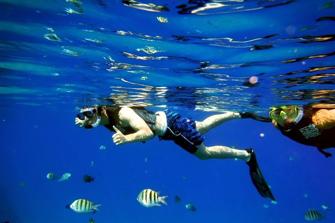 Shared 2 hours Sosúa Bay Snorkeling with Professional Guide - Key points to know before booking