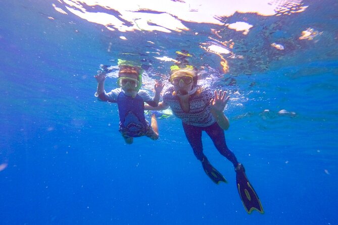 Shared 2 hours Sosúa Bay Snorkeling with Professional Guide - The second snorkeling stop adds variety