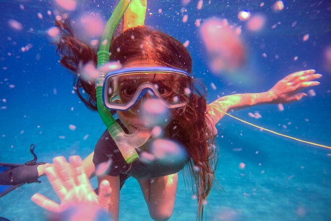 Shared 2 hours Sosúa Bay Snorkeling with Professional Guide - Who will enjoy this most