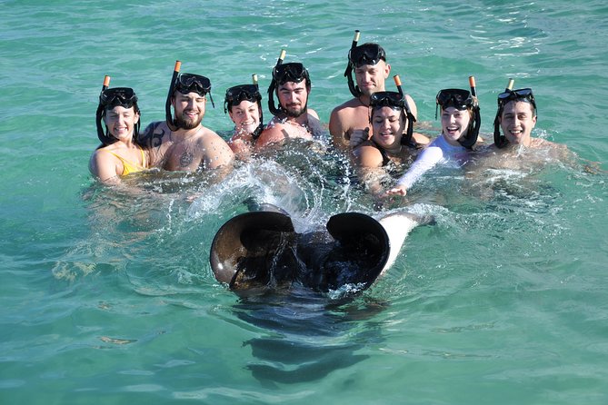 Sharks & Stingrays Encounter and Small Boat Ride from Punta Cana - How much value do you get for $95.72?