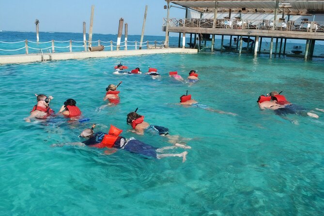 Sharks & Stingrays Snorkeling in Punta Cana with Parasailing - What the price includes, and what it does not