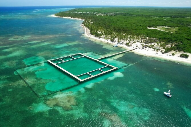 Sharks & Stingrays Snorkeling in Punta Cana with Parasailing - Who should book this Punta Cana experience