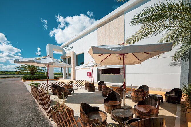 Shopping Tour in Punta Cana with Round Trip Transportation - The Staff and the Tone of the Visit