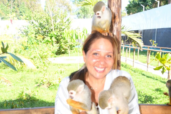 Shore Excursion Monkey Encounter and Puerto Plata City Tour - Central Park and Puerto Plata’s civic center