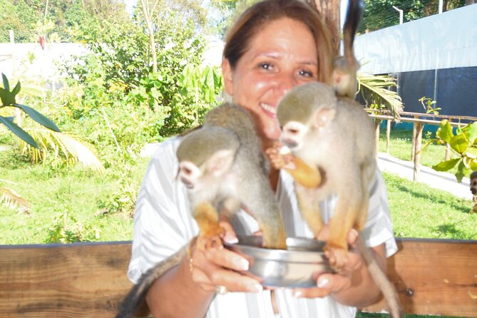 Shore Excursion Monkey Encounter and Puerto Plata City Tour - San Felipe Fortress, the strongest historic stop