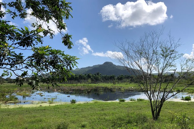 Shore Excursion: V.I.P. DayPass: ATV, Zip Lines, Horseback Riding & Lunch - Horseback riding for a slower change of pace