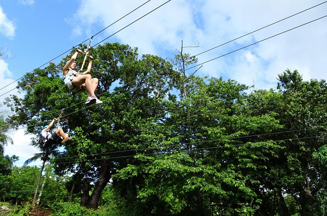 Shore Excursion: Zip Line Adventure - The drawbacks you should weigh