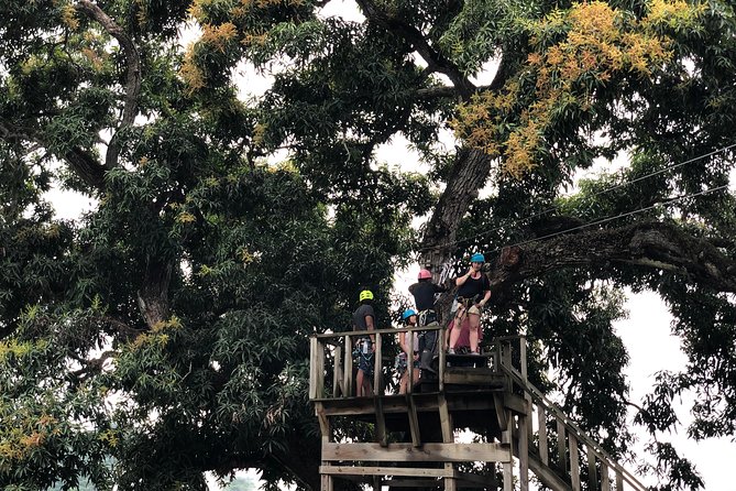 Shore Excursion: Zip Line Adventure - Who will enjoy this most
