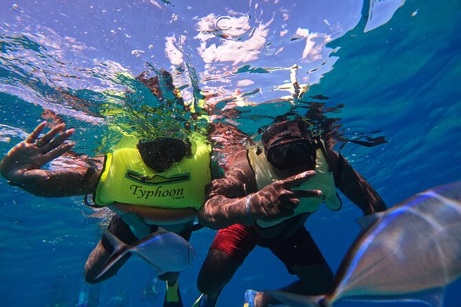 Short Excursion 4-Hour Party Catamaran and Snorkeling - Music, drinks, and the social side