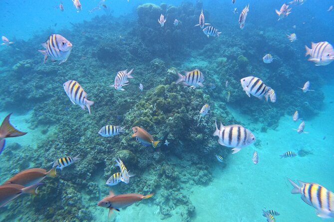Short Excursion 4-Hour Party Catamaran and Snorkeling - Weather can make or break the day