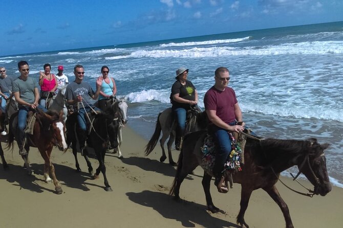 Short Excursion horseback riding tours on the beach and mountain - Key points at a glance