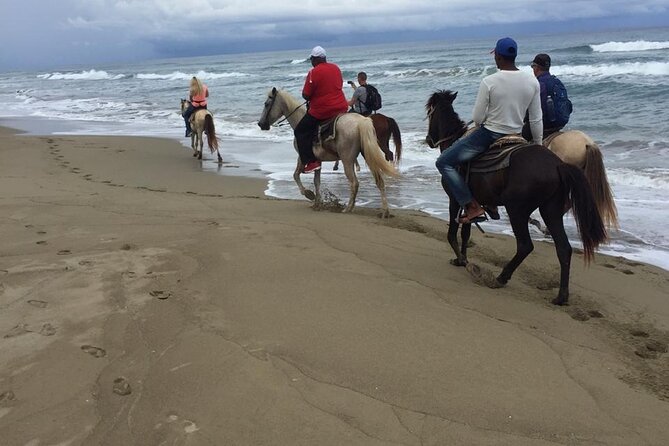 Short Excursion horseback riding tours on the beach and mountain - Starting beside Cabarete’s Atlantic beach