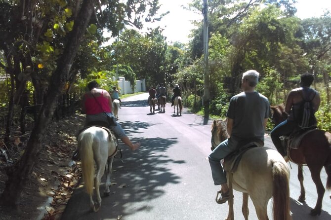 Short Excursion horseback riding tours on the beach and mountain - A first ride for beginners, with sensible expectations
