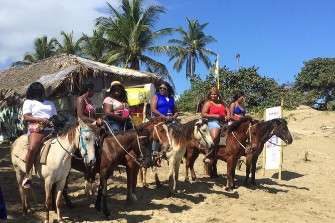 Short Excursion horseback riding tours on the beach and mountain - Timing, transport, and weather
