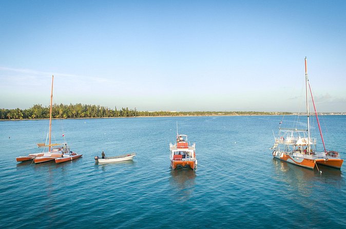 Small-Group Cruising and Snorkeling Catamaran Tour - The waist-deep sandbar and floating bar
