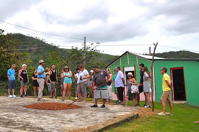 Small Group: Half-Day Cultural Tour of Punta Cana - The safari-truck question is not a small detail