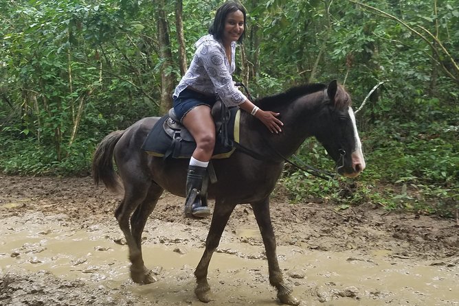 Small-Group Half-Day Horseback Riding Tour from Punta Cana - Leaving Punta Cana’s resort strip for Uvero Alto