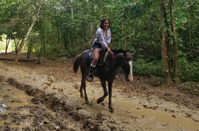 Small-Group Half-Day Horseback Riding Tour from Punta Cana - How the $70 price works as a value