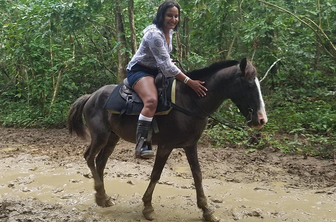 Small-Group Half-Day Horseback Riding Tour from Punta Cana - Practical preparation for the four-hour outing