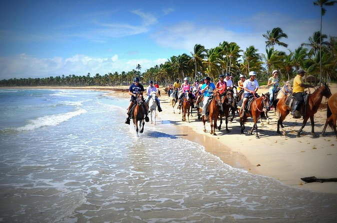 Small-Group Half-Day Horseback Riding Tour from Punta Cana - How this compares with a standard resort activity