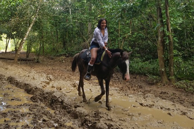 Small-Group Half-Day Horseback Riding Tour from Punta Cana - Meeting the horses and getting a safety briefing