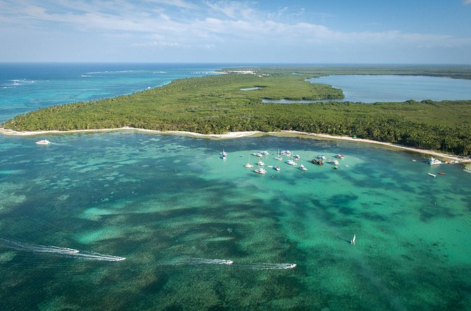 Small Group Punta Cana Snorkeling with Premium Open Bar - Who should book this Punta Cana cruise?