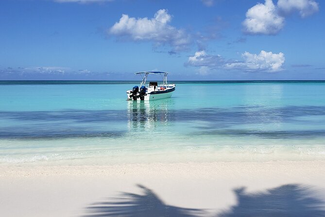 Small Group: Saona Island Full Day Tour - Key points to know before booking